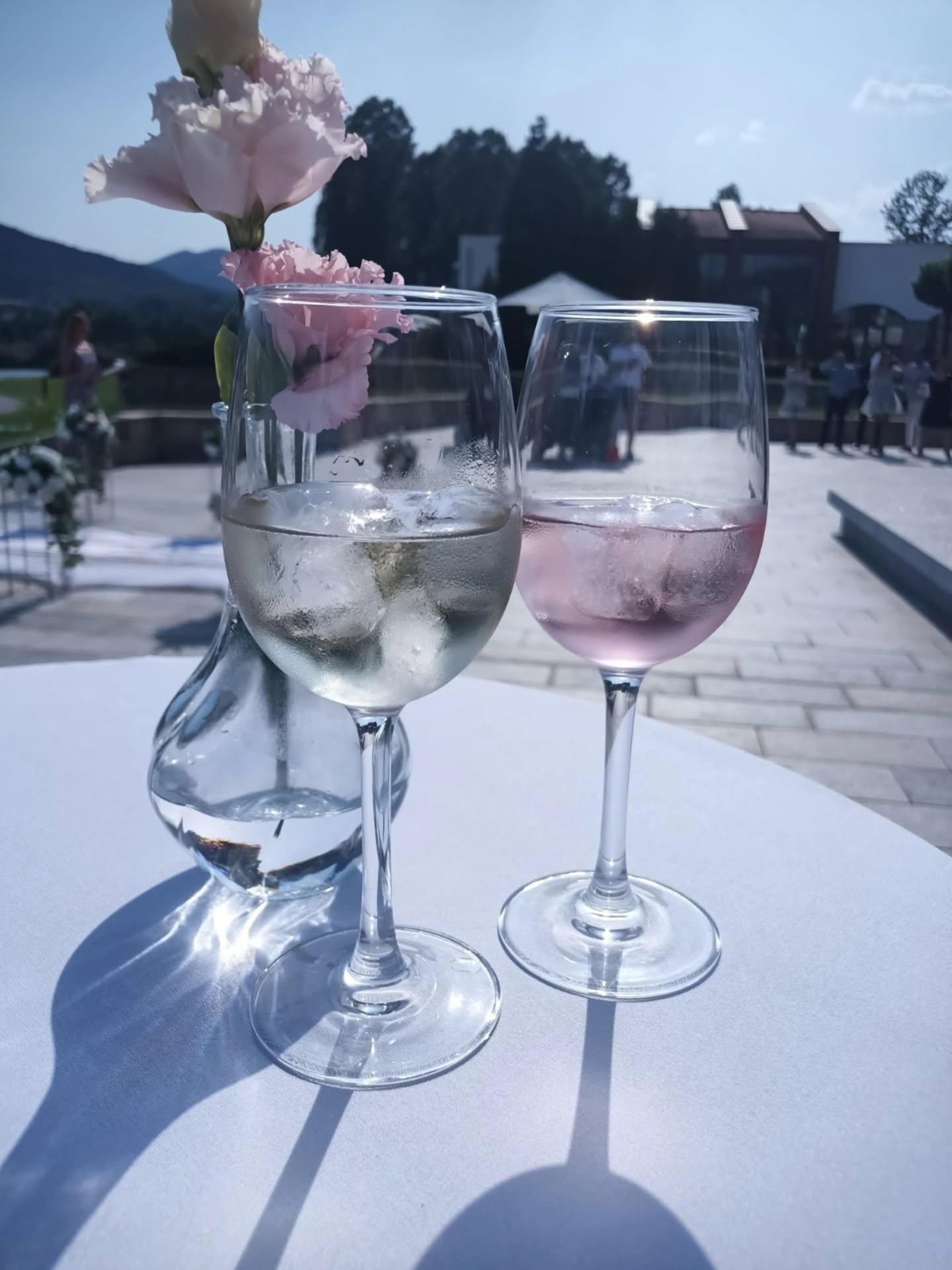 Wine glasses at Bogdaya Estate