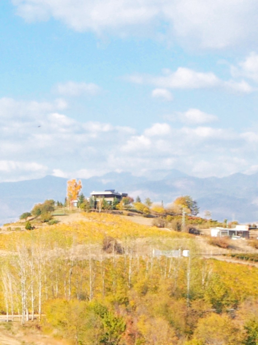 Kapatovo Family Estate